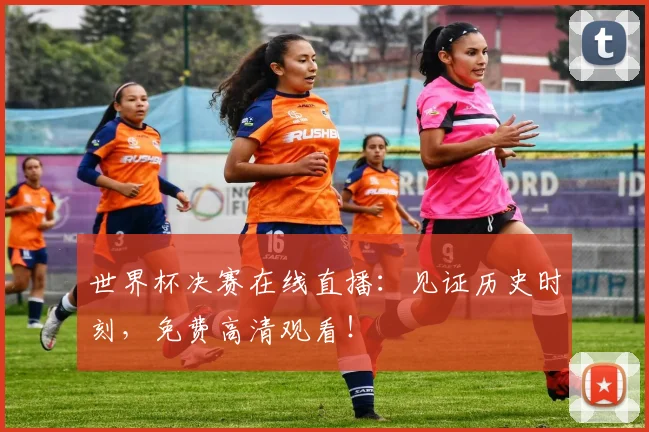世界杯决赛在线直播：见证历史时刻，免费高清观看！